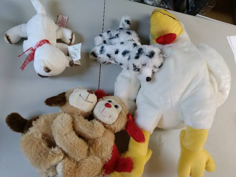 Stuffed Animal Lot
