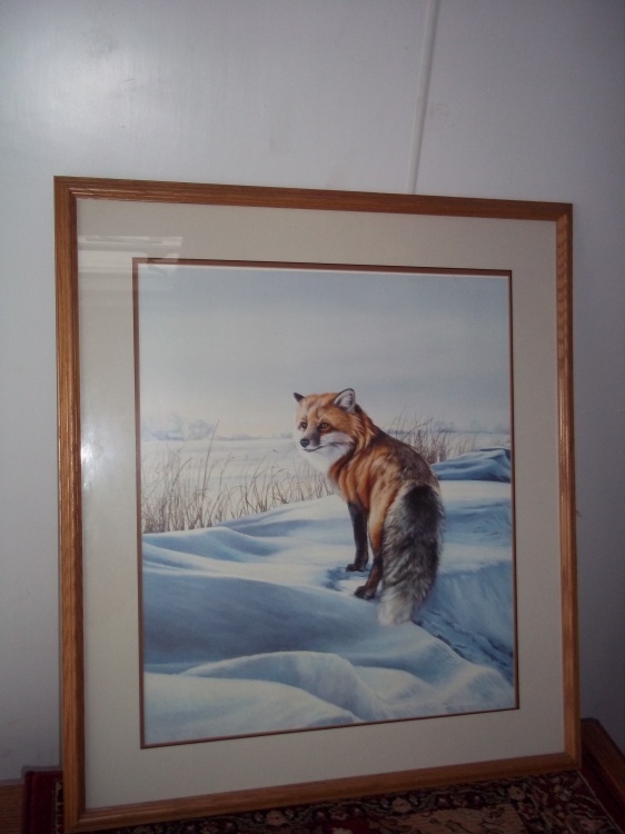 Picture 28 x 31