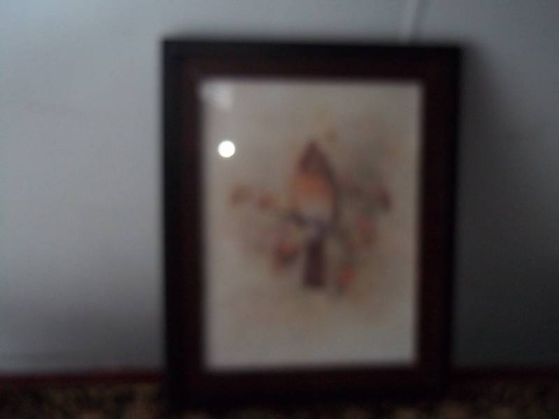 Picture 13 x 16
