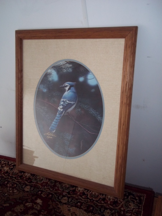 Picture 18 x 23