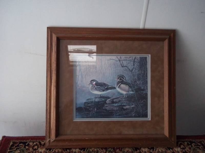 Picture 17 x 18