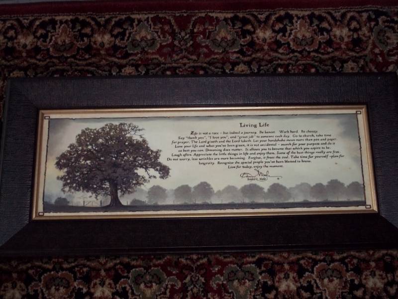Picture 22 x 10