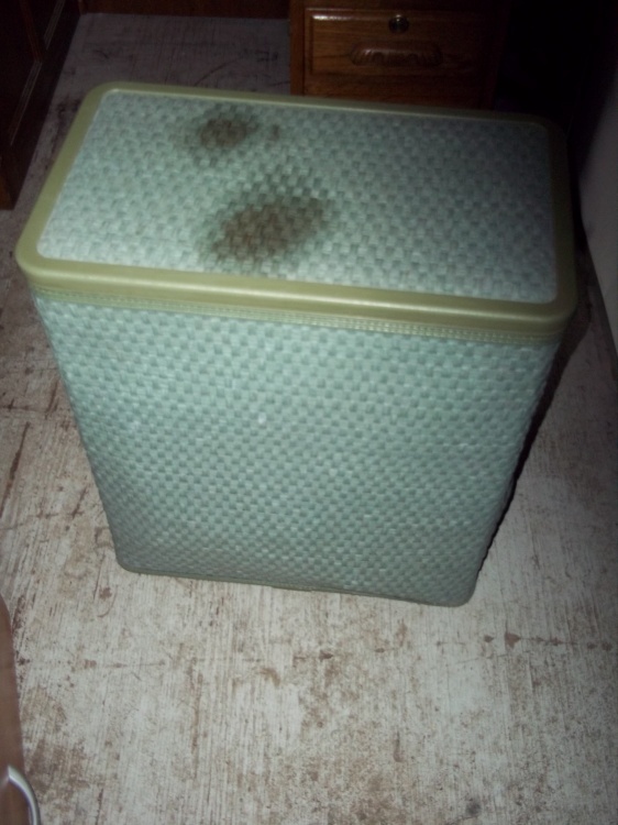 Clothes hamper with hangers