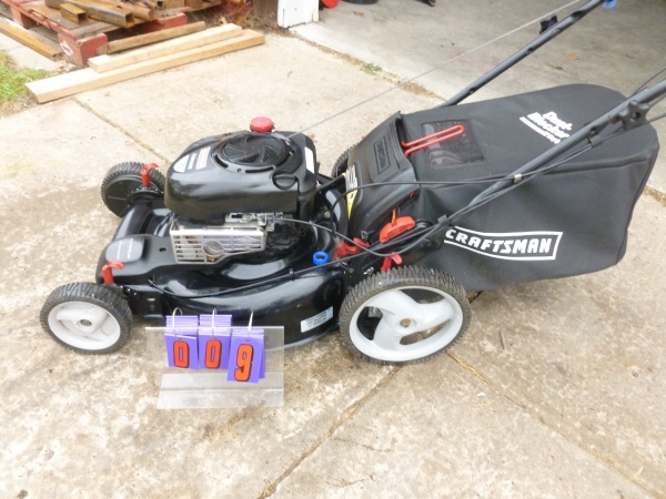 SnS Auctions # 231 John Deere Mower & Fall Cleanup