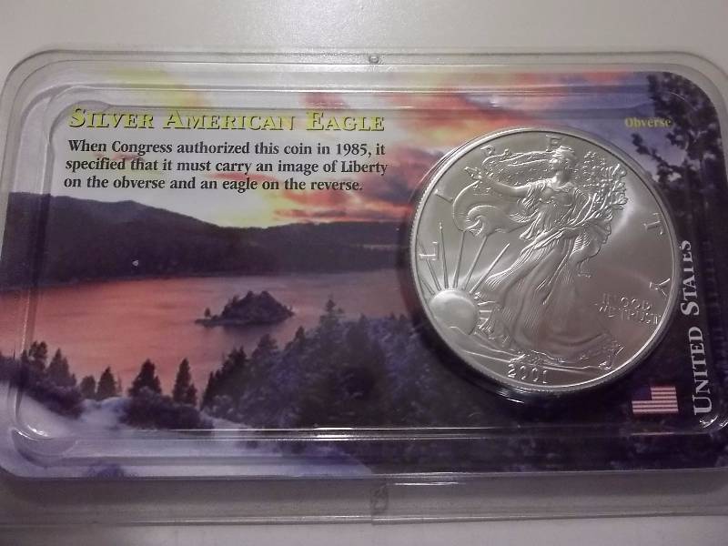 2001 Silver Eagle Unc By Littleton