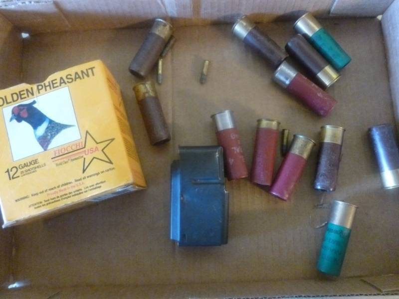 Shotgun Shells