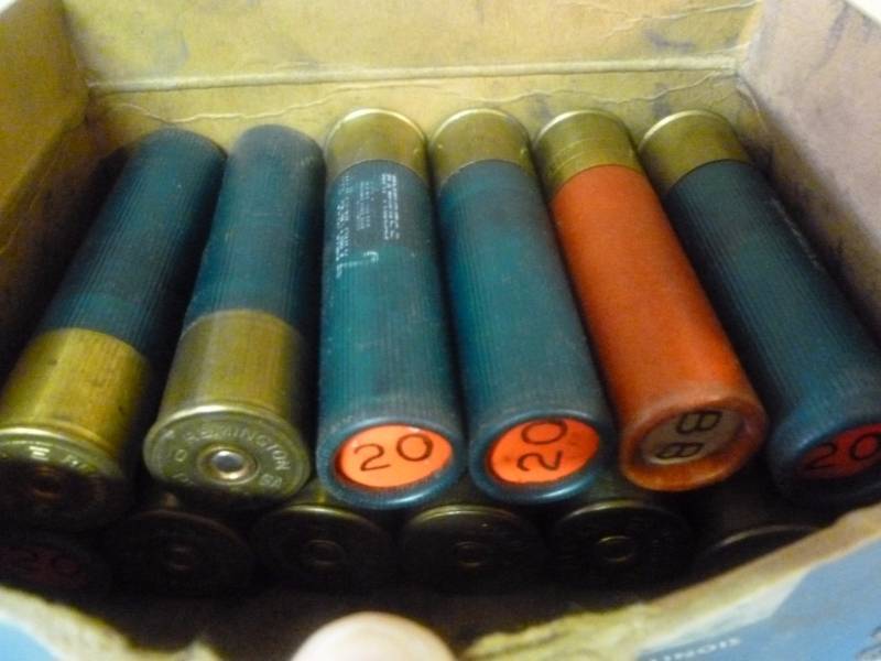 10 Gauge Shells