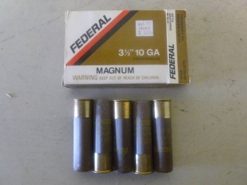 10 Gauge Shells