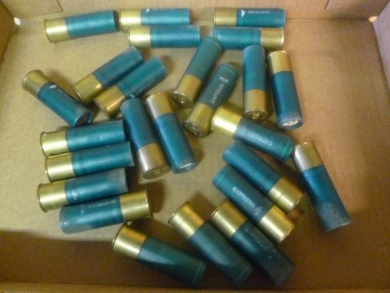 10 Gauge Shells