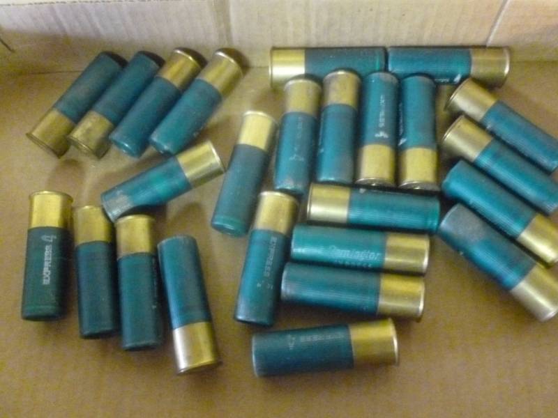 10 Gauge Shells