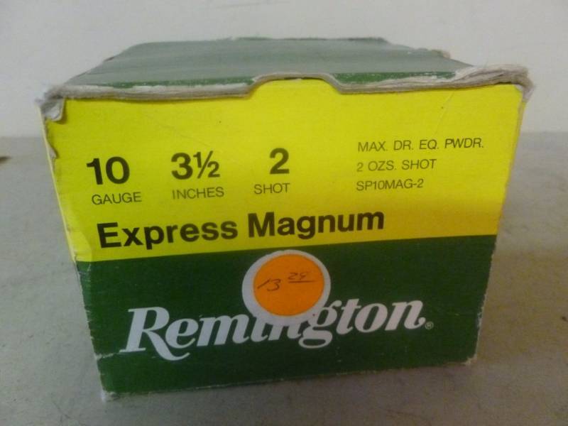 10 Gauge Shells