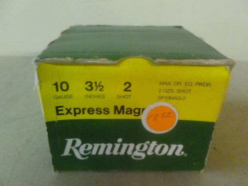 10 Gauge Shells