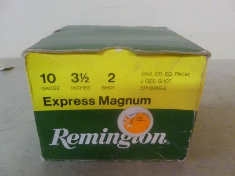 10 Gauge Shells