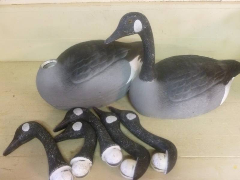 Goose Decoys