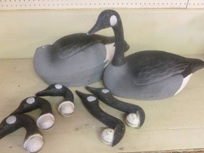 Goose Decoys