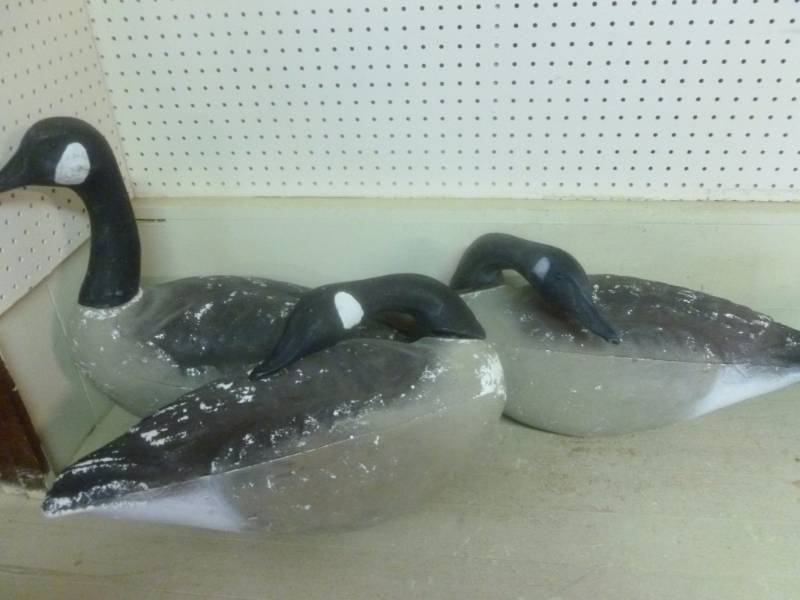 Goose Decoys