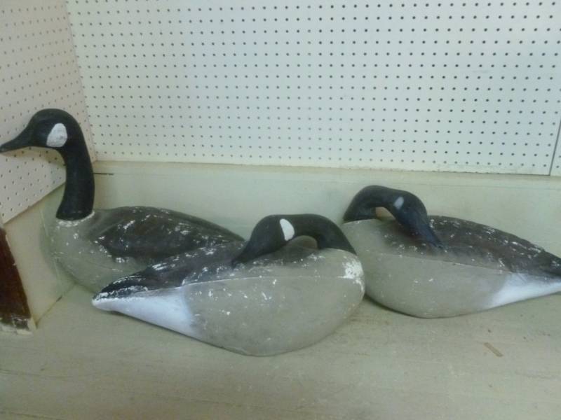 Goose Decoys