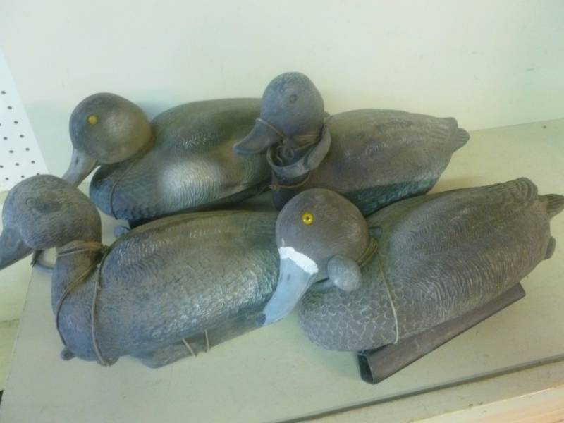 Duck Decoys