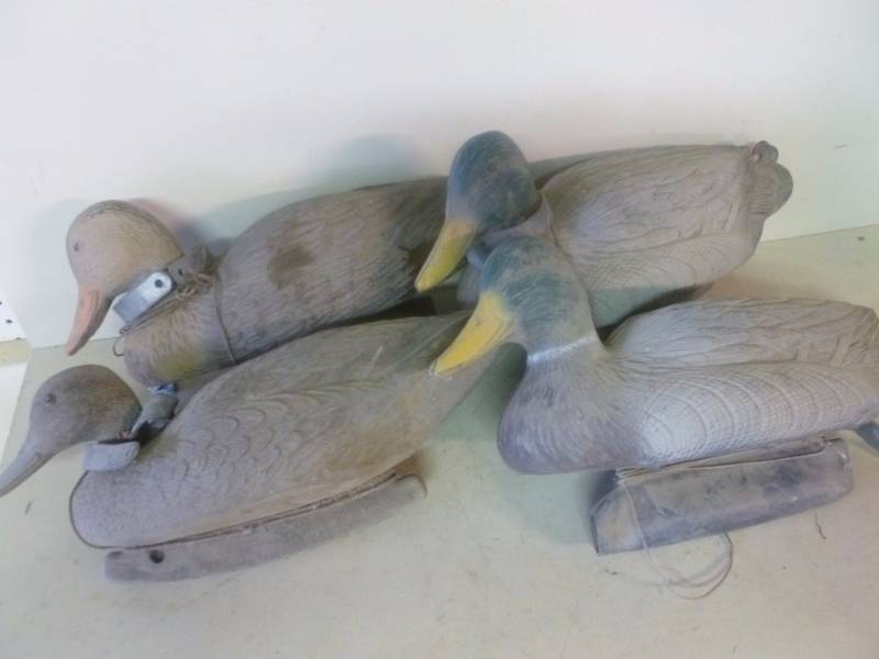 Duck Decoys