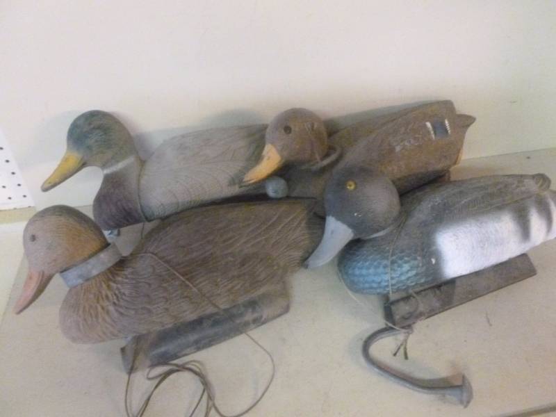 Duck Decoys