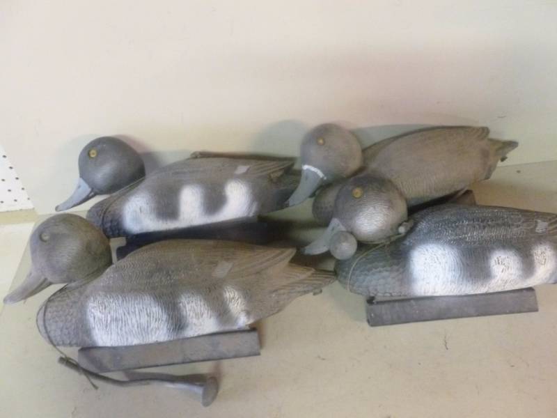 Duck Decoys