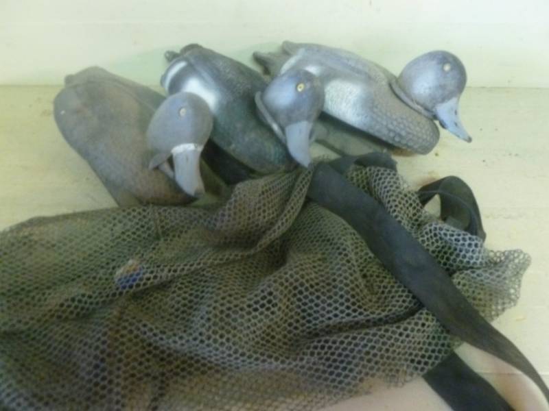 Duck Decoys
