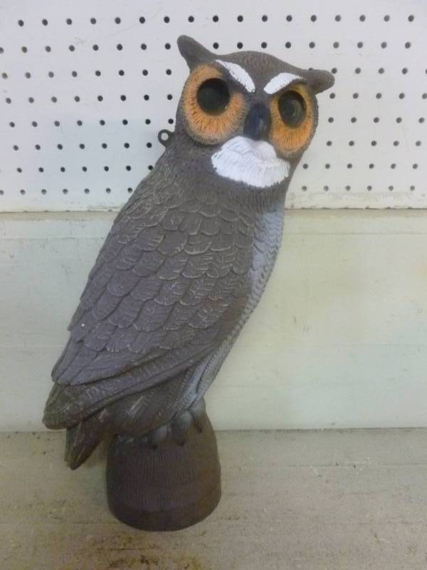 Owl Decoy