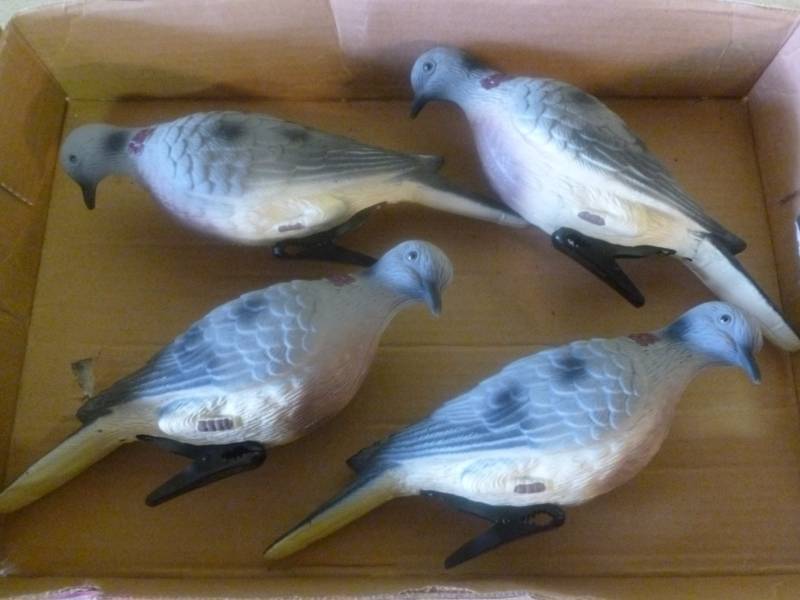 Dove Decoys