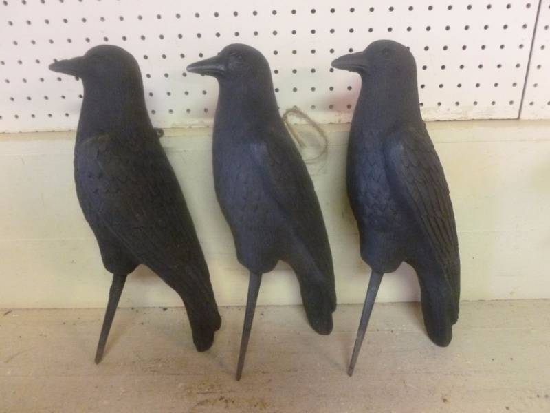 Crow Decoys