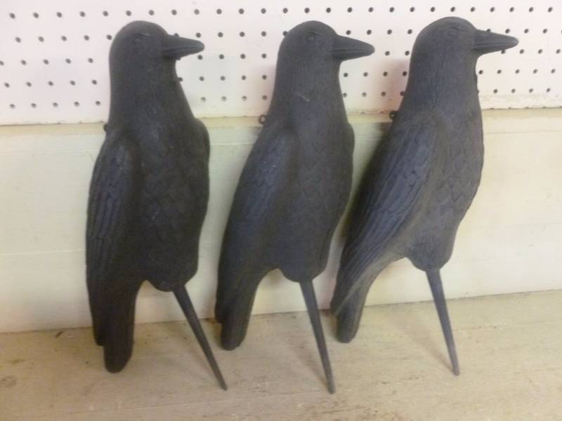 Crow Decoys