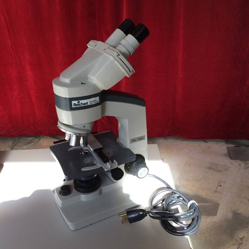 lot 50 image: Reichert 150 Scientific Instruments Powered Microscope - Nice Condition