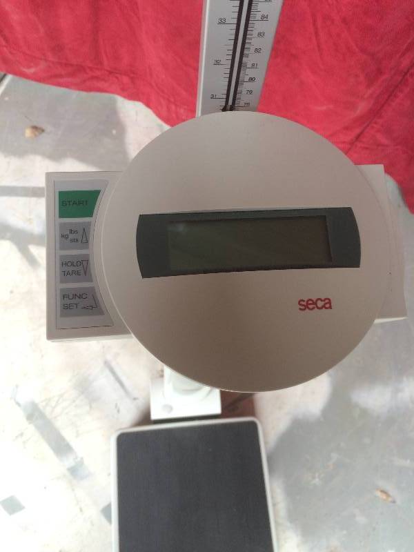 lot 13 image: Retails New $350 Seca 769 Medical Clinic Digital Column Scale with BMI Function, Stadiometer & 220 Measuring Rod - Excellent Condition