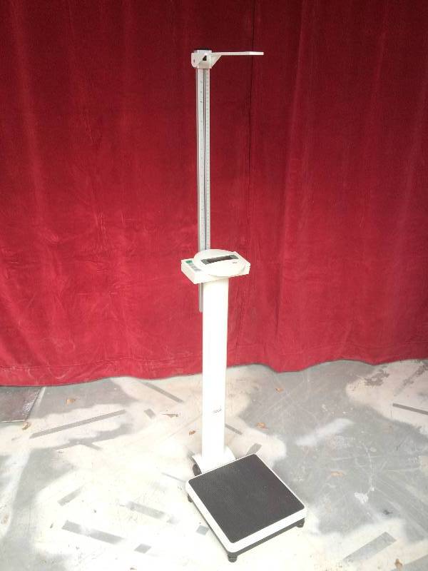 seca 769 Digital Column Scale with BMI Function