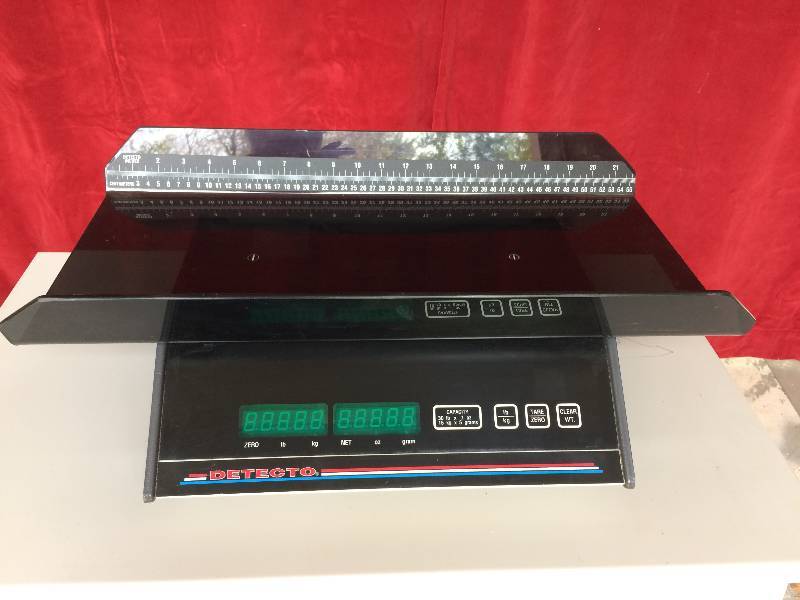 lot 10 image: Retails New $700 Detecto Tabletop Precision Scale OBGYN Pediatric Medical Clinic Infant Baby Scale Digital Excellent Condition