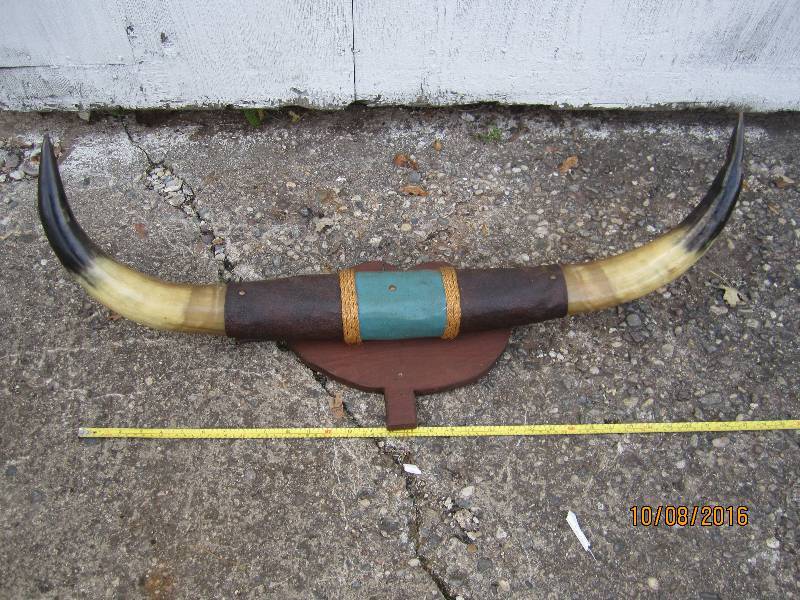 Mounted horns...