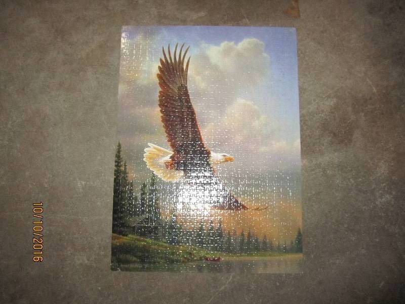 Eagle puzzle 20 x 27...