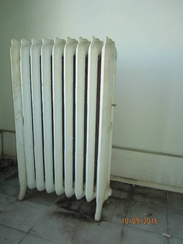 Radiator, appears good...