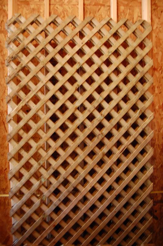 Sheets of Lattice