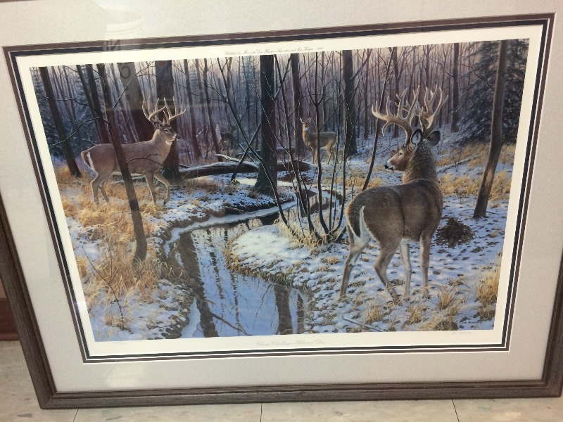 lot 53 image: Framed Wildlife Painting  33 x 26  549950