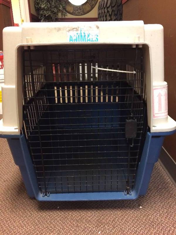 Large Dog KennelCrate