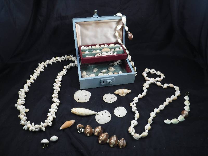 Lot of Seashell Jewelry and Misc. Seashells