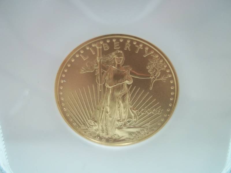 Gold $25 2005 Eagle MS 69 12 oz. Fine Gold