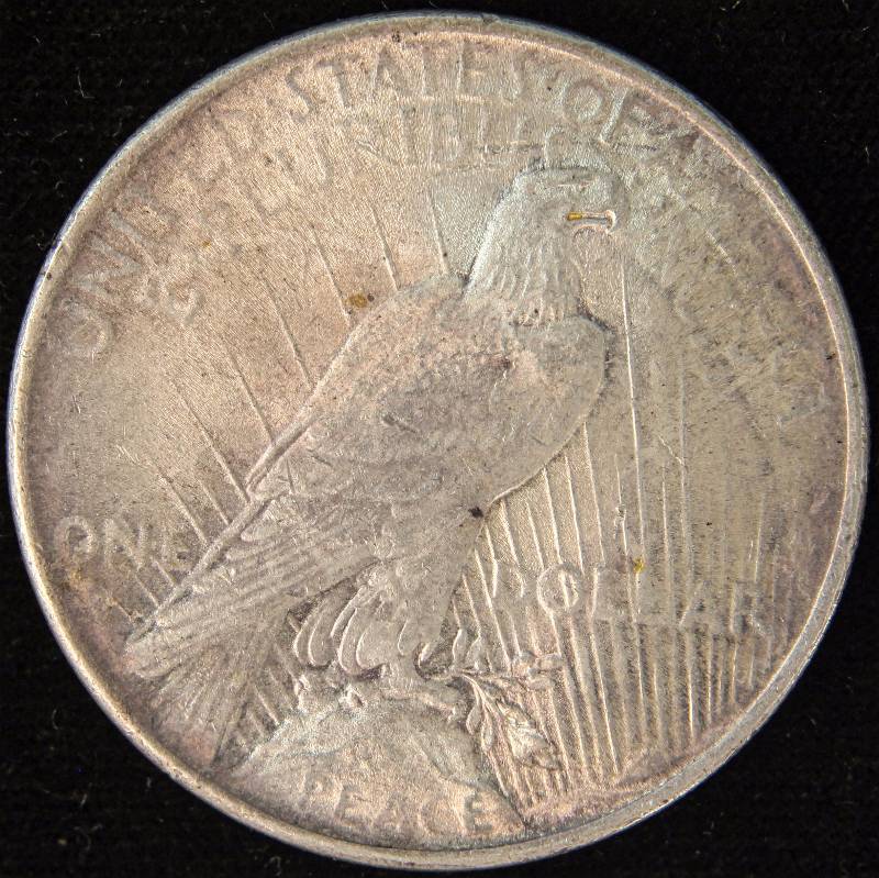 1924 PEACE SILVER DOLLAR XF