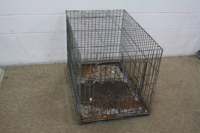 lot 66 image: Metal Dog Kennel