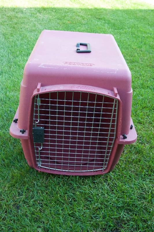 lot 11 image: PetMate Dog Crate (Plastic)