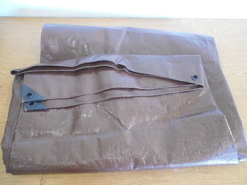 lot 71 image: 10X12 TARP