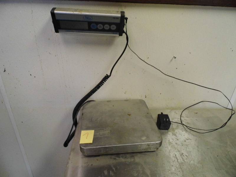 lot 7 image: AccuWeight Digital Scale