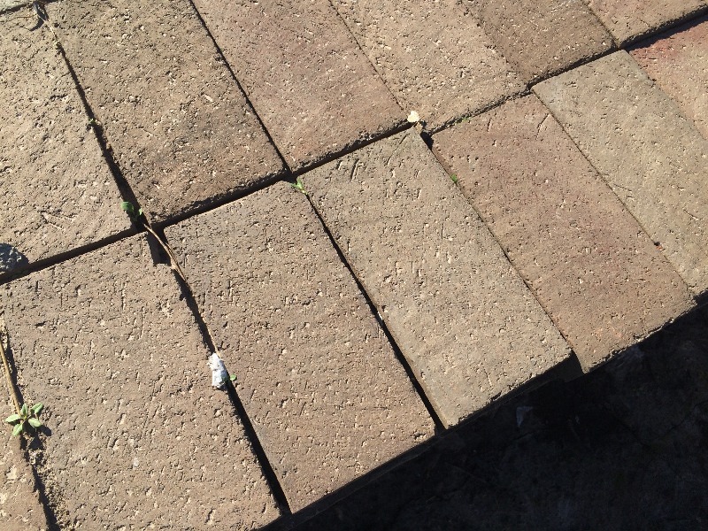 lot 65 image: Clay Paver  8 x 4 x 2.50  pallet lot