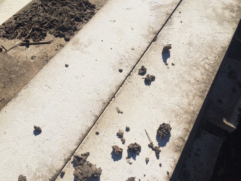 lot 79 image: Pavers, Decretive Stone, Block   30 x 6 x 1.75  Partial Pallet Lot