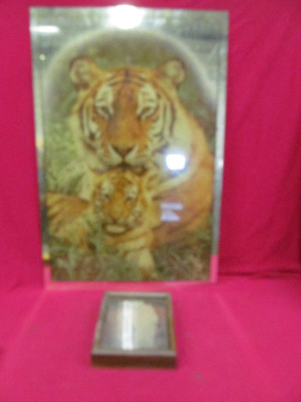 lot 221 image: Tiger MirrorWall Dcor